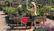Top 25 garden centre departments: EPOS data April 2026